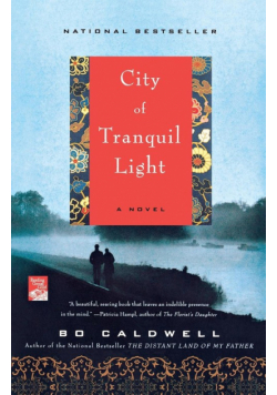 City of Tranquil Light