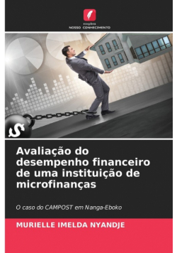 Avaliação do desempenho financeiro de uma instituição de microfinanças