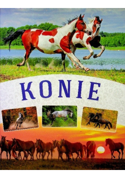 Konie
