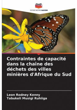 Contraintes de capacité dans la chaîne des déchets des villes minières d'Afrique du Sud