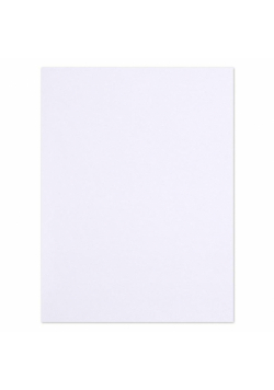 Skoroszyt A4 wpinany biały