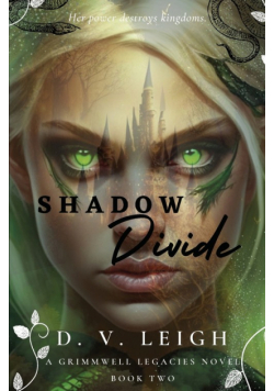Shadow Divide