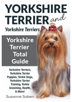 Yorkshire Terrier And Yorkshire Terriers