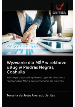 Wyzwanie dla MŚP w sektorze usług w Piedras Negras, Coahuila