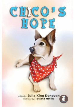 Chico's Hope