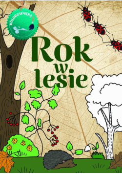 Rok w lesie. Kolorowanka