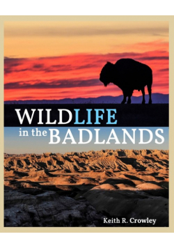 WILDLIFE in the BADLANDS