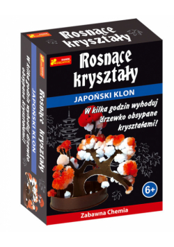 Japoński Klon