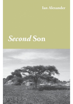 Second Son