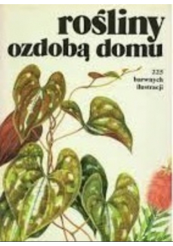 Rośliny ozdobą domu