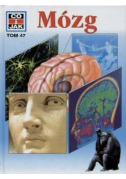 Co I Jak Tom 47 Mózg