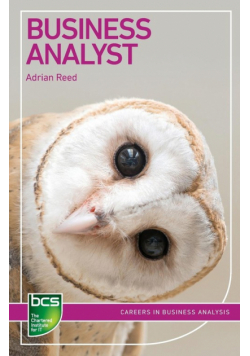 Business Analyst