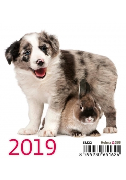 Kalendarz 2019 Biurkowy Mini Przyjaciele HELMA