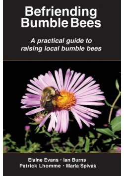 Befriending  Bumble Bees