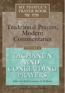 My People's Prayer Book Vol 6