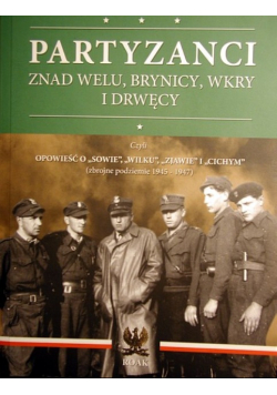 Partyzanci znad Welu Brynicy Wkry i Drwęcy