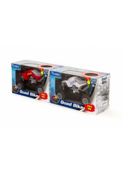 Quad z dźwiękiem 1:24 mix