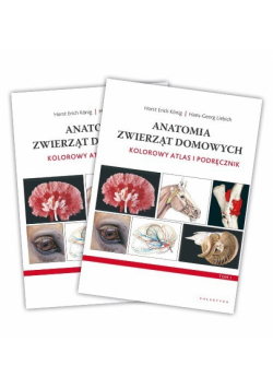 Anatomia zwierząt domowych.