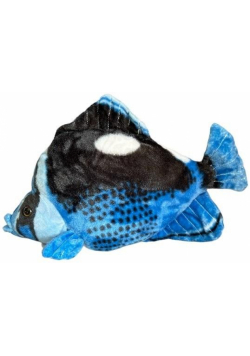 Ryba Hepatus niebieska 41cm