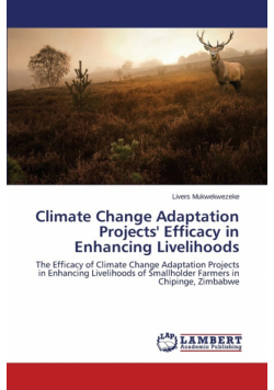 Climate Change Adaptation Projects' Efficacy in Enhancing Livelihoods