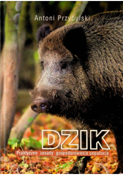 Dzik Praktyczne zasady gospodarowania populacją