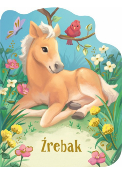 Źrebak