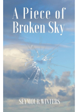 A Piece of Broken Sky