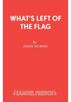 What's Left of the Flag