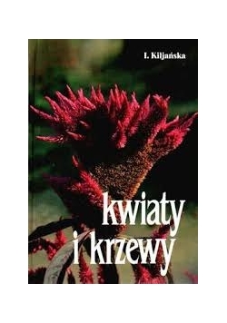 Kwiaty i krzewy