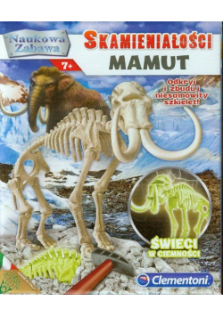 Skamieniałości Mamut