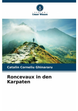 Roncevaux in den Karpaten