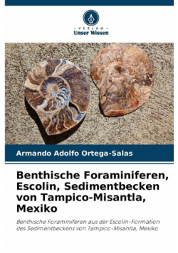 Benthische Foraminiferen, Escolin, Sedimentbecken von Tampico-Misantla, Mexiko