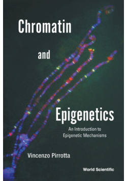 Chromatin and Epigenetics