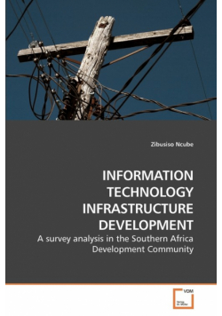 Information Technology Infrastructure Development
