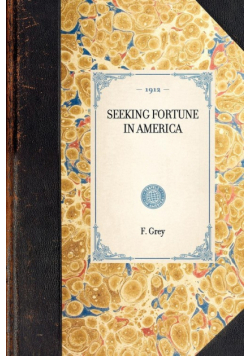 Seeking Fortune In America~