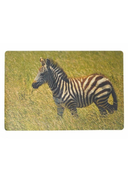 Podkładka na biurko piankowa zebra 60x40cm
