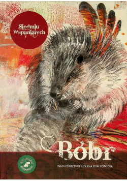 Bóbr
