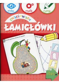 Zwariowane łamigłówki