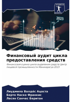 Финансовый аудит цикла предоставления средств