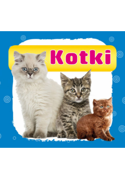 Kotki Harmonijka mała