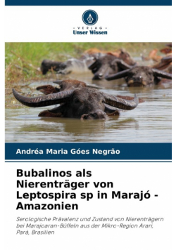 Bubalinos als Nierenträger von Leptospira sp in Marajó - Amazonien