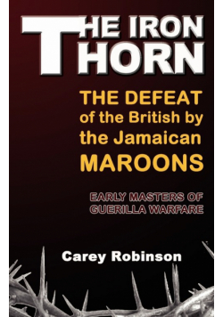The Iron Torn