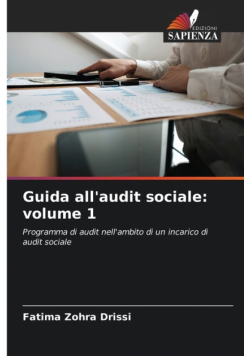 Guida all'audit sociale