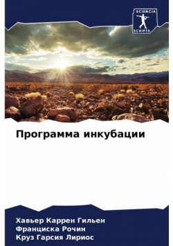 Программа инкубации