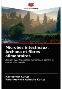 Microbes intestinaux, Archaea et fibres alimentaires