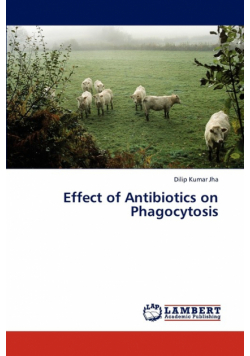 Effect of Antibiotics on Phagocytosis