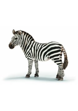 Zebra klacz