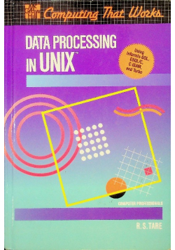 Data Processing in the Unix Environment