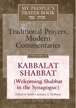 My People's Prayer Book Vol 8
