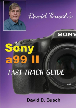DAVID BUSCH'S  Sony Alpha a99 II FAST TRACK GUIDE